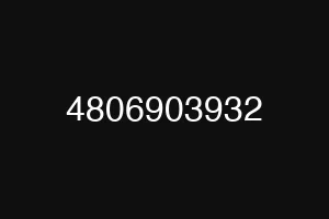 4806903932