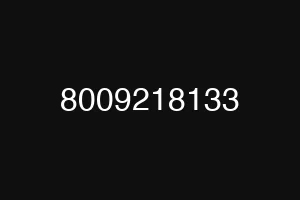 8009218133