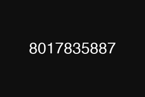 8017835887