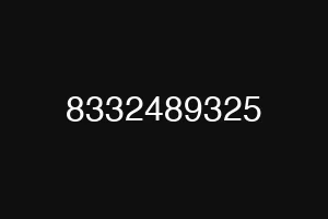 8332489325