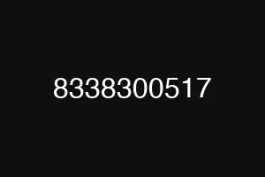 8338300517