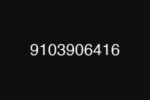 9103906416