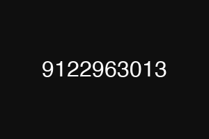 9122963013