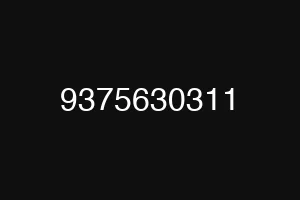 9375630311