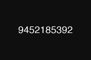 9452185392