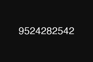 9524282542