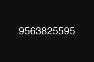 9563825595