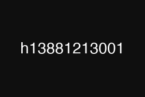 h13881213001