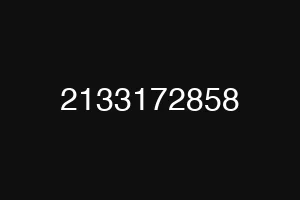 2133172858