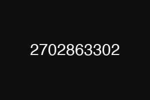 2702863302