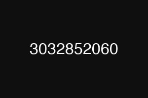3032852060