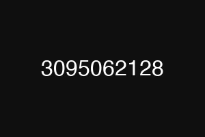 3095062128