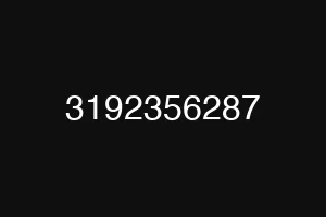 3192356287