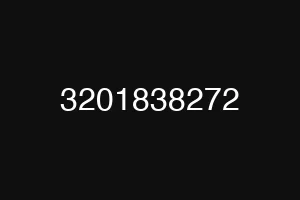 3201838272