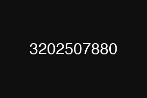 3202507880