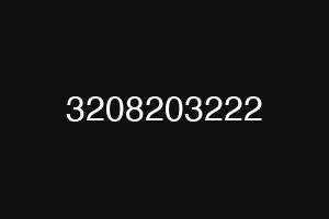 3208203222