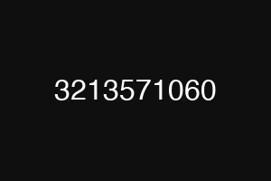 3213571060