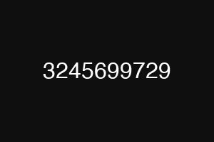 3245699729