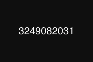 3249082031