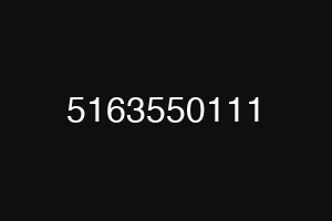 5163550111