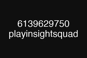 6139629750 playinsightsquad