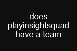 does playinsightsquad have a team